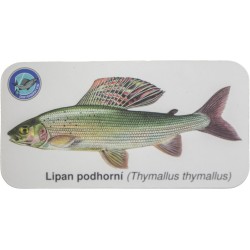 Magnetky s rybami jednotlivě