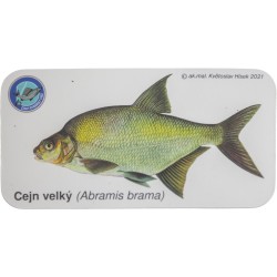 Magnetky s rybami jednotlivě