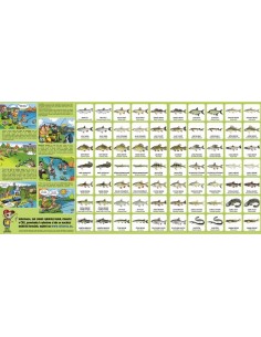 Pexeso s rybami našich vod