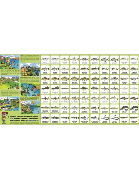 Pexeso s rybami našich vod