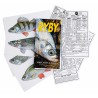 Publikace Ryby - karty