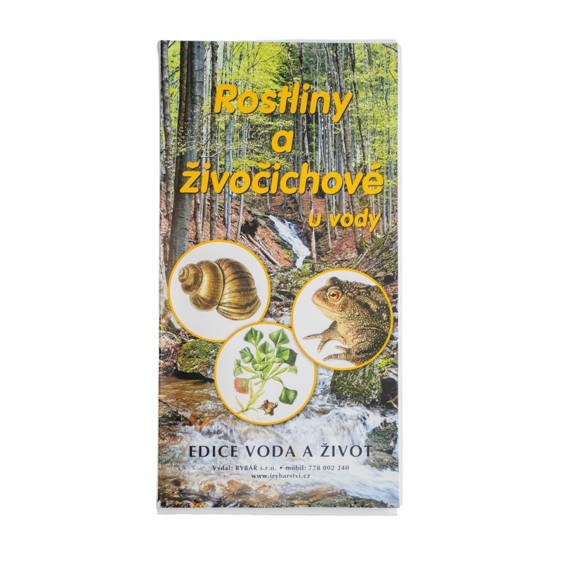 Publikace Rostliny a živočichové - karty