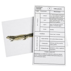 Publikace Rostliny a živočichové - karty